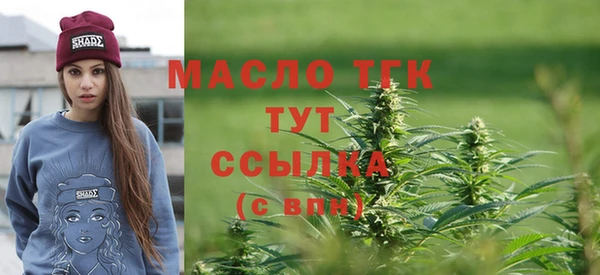 тгк Нея