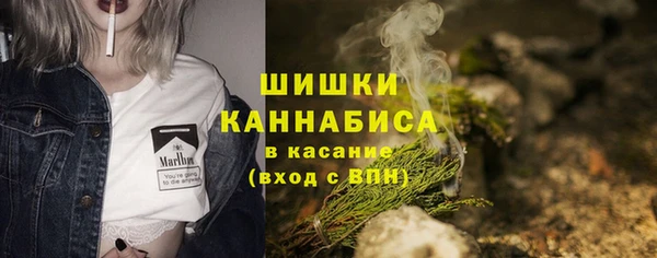 тгк Нея