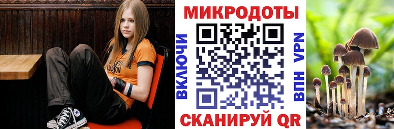 Псилоцибиновые грибы Cubensis  Фокино 